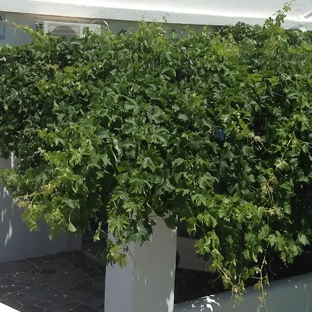 Nikoletta Гостевой дом 3*