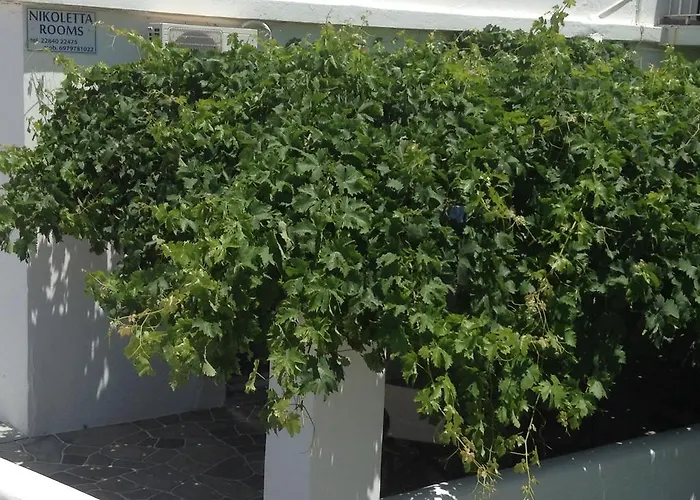 Nikoletta Guest house 3*